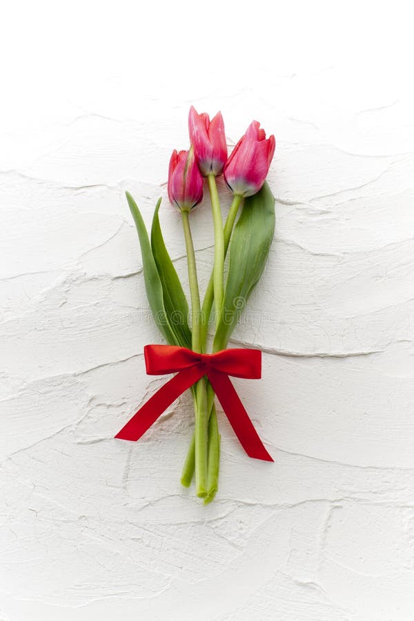 Red tulip flower gift stock image. Image of love, present 26096401
