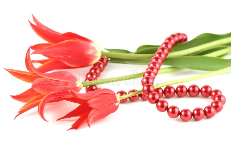 Red tulips and bead