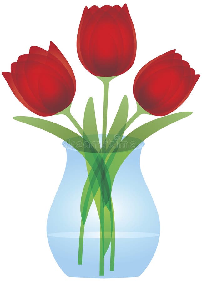 Red Tulips in Glass Vase Illustration