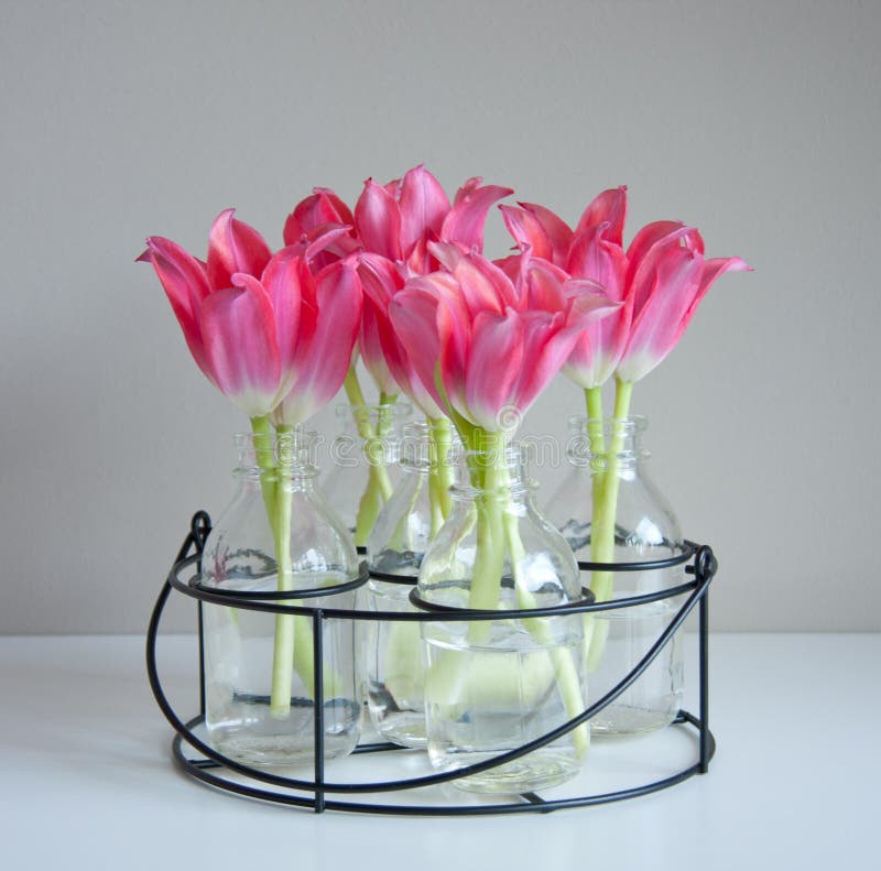 Red tulips in glass vases