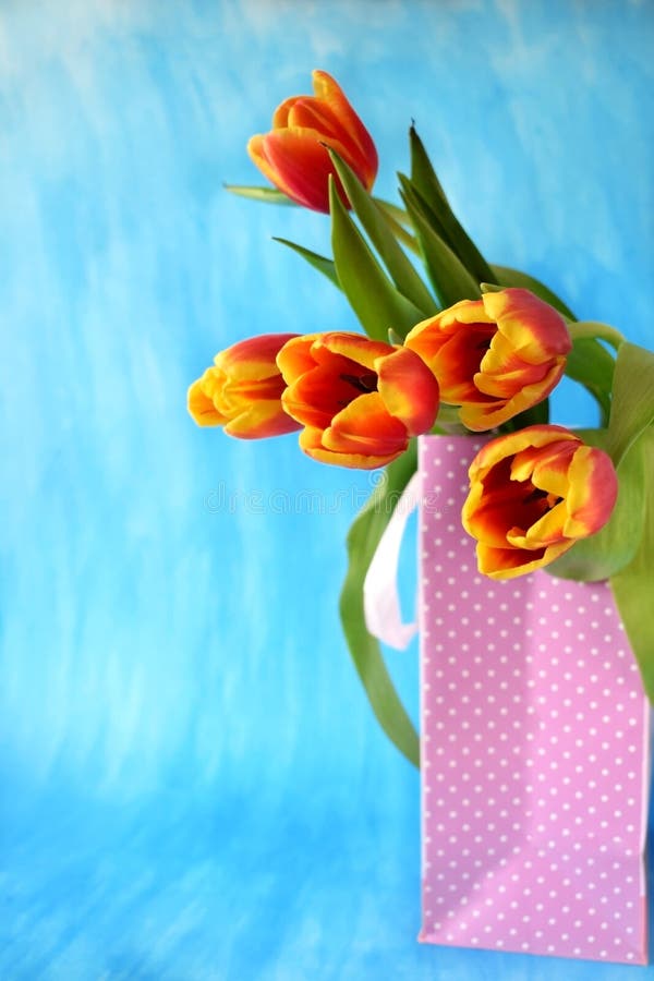 Red tulips in a present bag royalty free stock photography Red tulips in a present bag royalty free stock photography