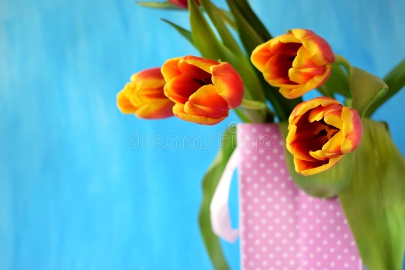 Red tulips in a present bag stock photography Red tulips in a present bag stock photography