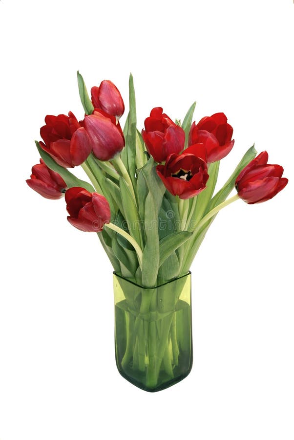 4,708 White Tulips Vase Arrangement Stock Photos Free & RoyaltyFree