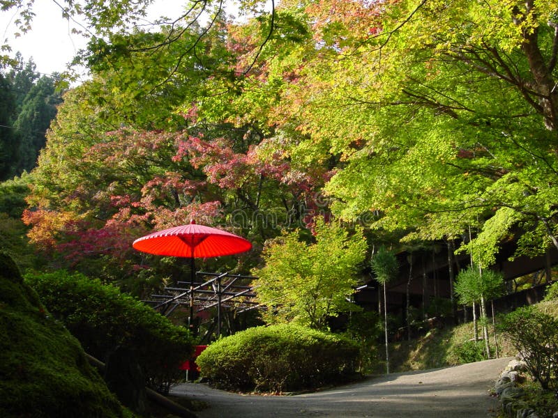 Red Umbrella in Autumn Park in Japan Stock Image Image of chinese