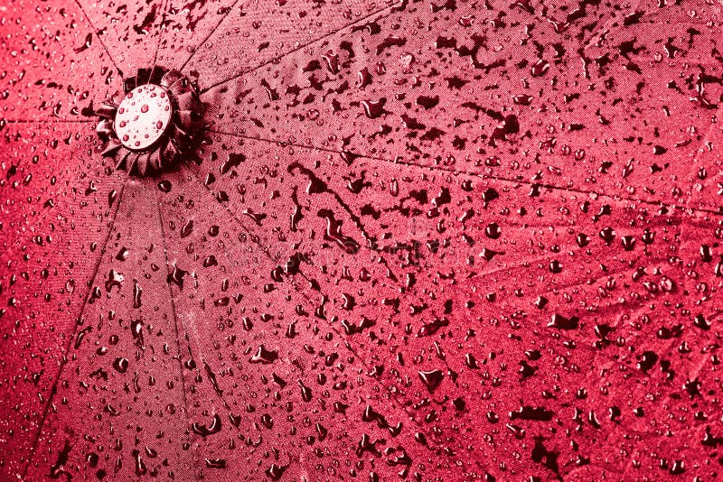 Red Umbrella Background in Wet Rain Drops Stock Photo Image of rainy