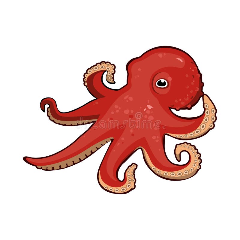 Red vector cartoon octopus stock vector. Illustration of tentacle - 65665637 Red vector cartoon octopus stock vector. Illustration of tentacle - 65665637