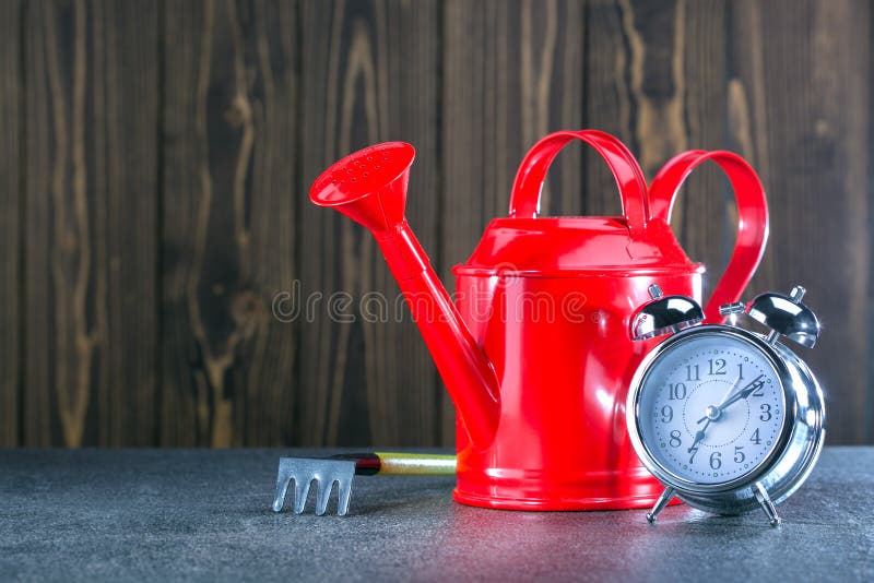 Red watering can with garden tool and clock on wooden background. stock image Red watering can with garden tool and clock on wooden background. stock image