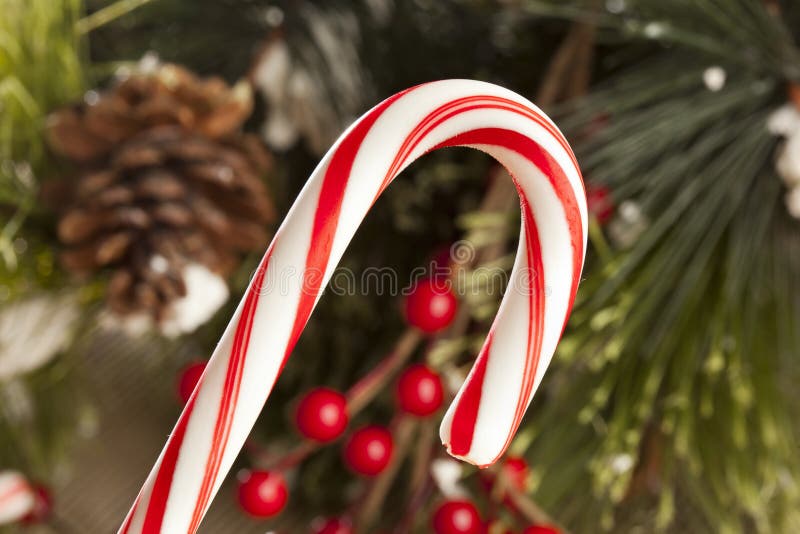 Red and White Candy Cane stock image. Image of sweet 27719135