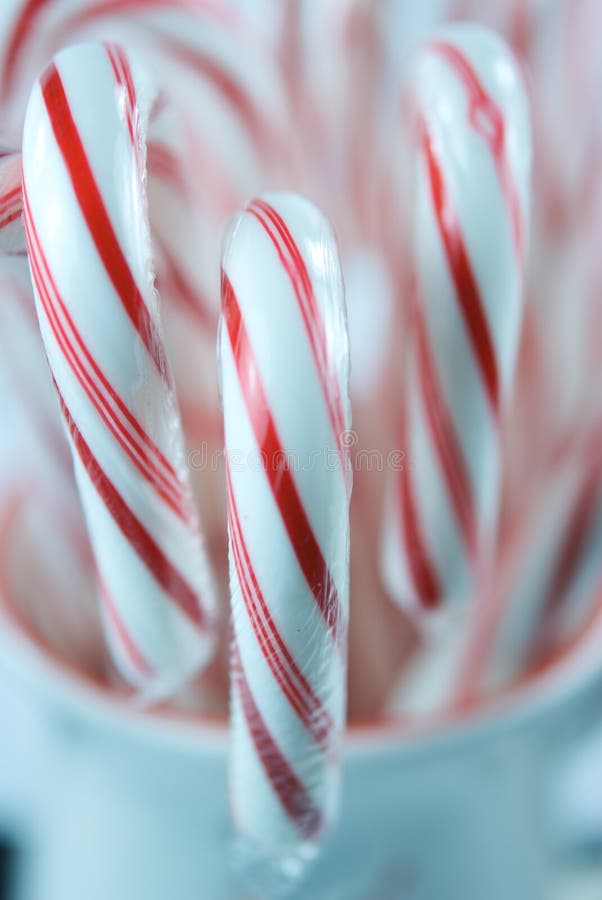 Red and White Candy Canes in Christmas Cup