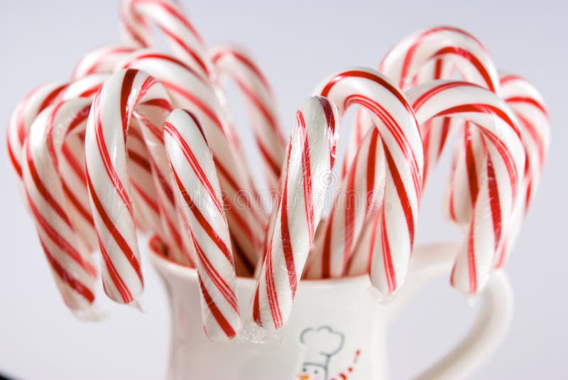 Red and White Candy Canes in Christmas Cup