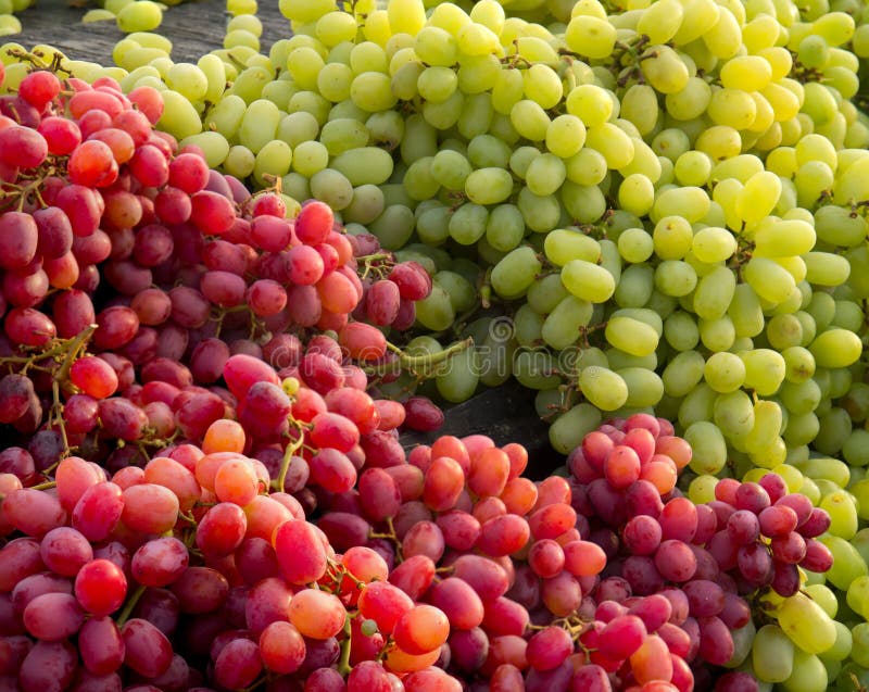 Red and White Grapes