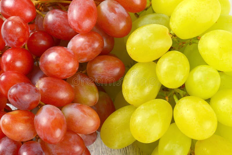 Red and white grapes stock photo. Image of dessert, ingredient 62153842