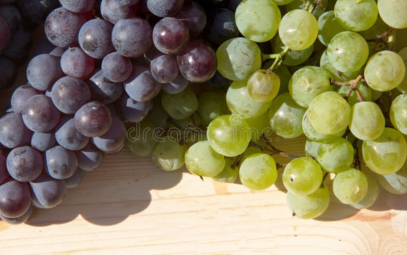 Red and white grapes stock image. Image of season, drink 101987037