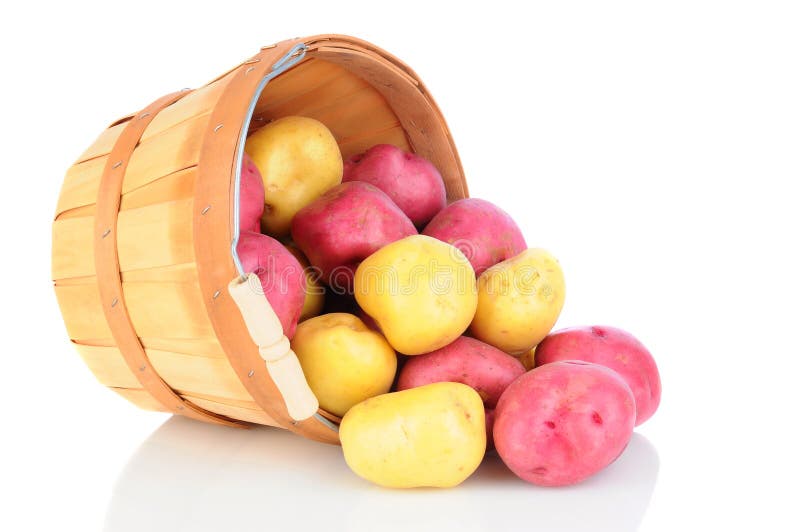 Red and White Potatoes Basket Spill Stock Image Image of potato