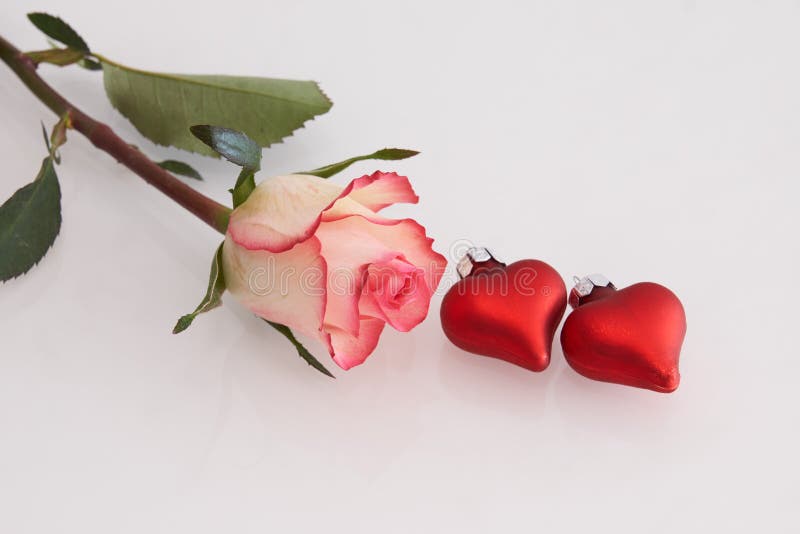 Red rose with hearts stock photo. Image of background 17657146