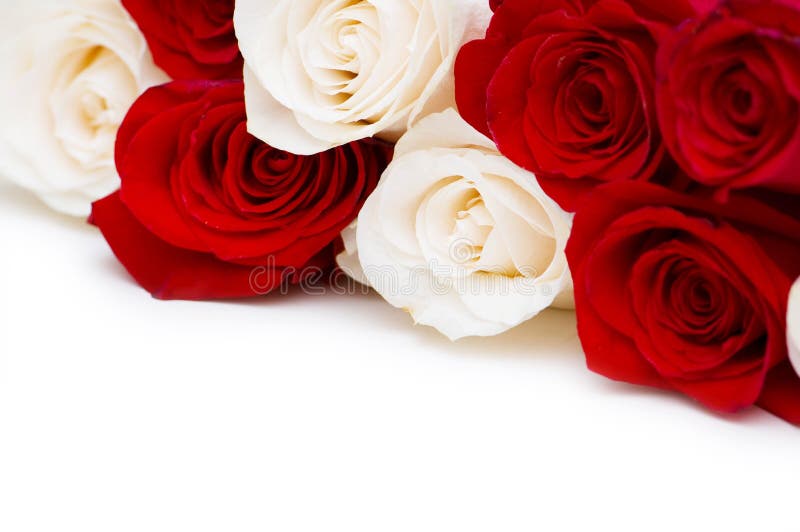 White and red roses stock image. Image of close, note 6003807