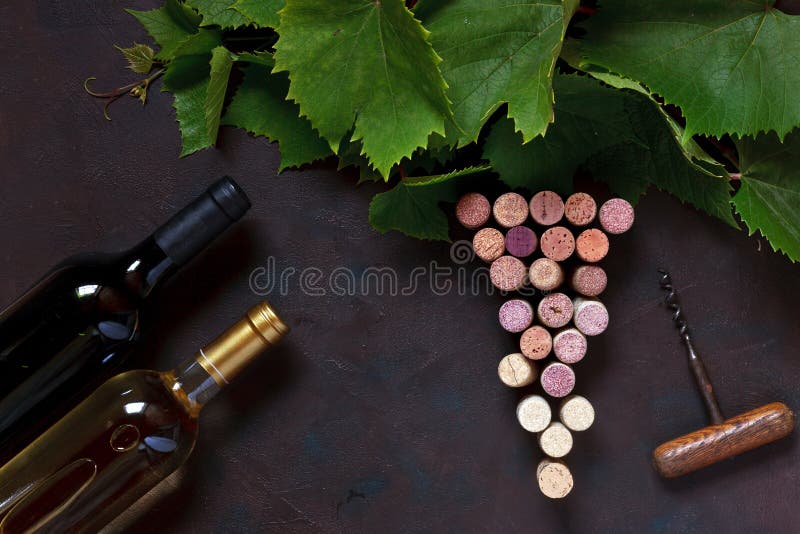 Red and white wine in bottles, corks, corkscrew and grape leaves