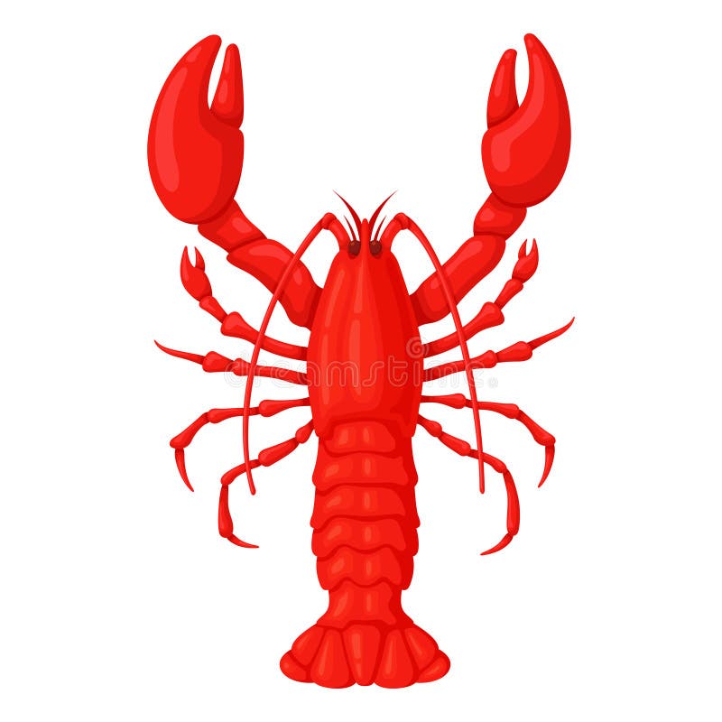 Red whole lobster