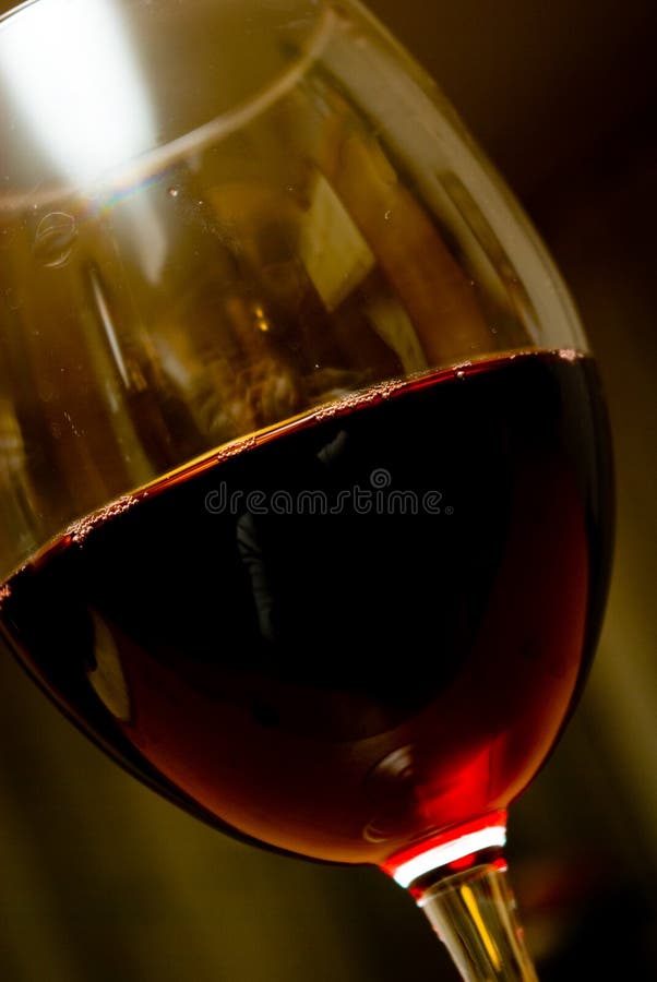 Enjoying Wine stock image. Image of professional 2723887