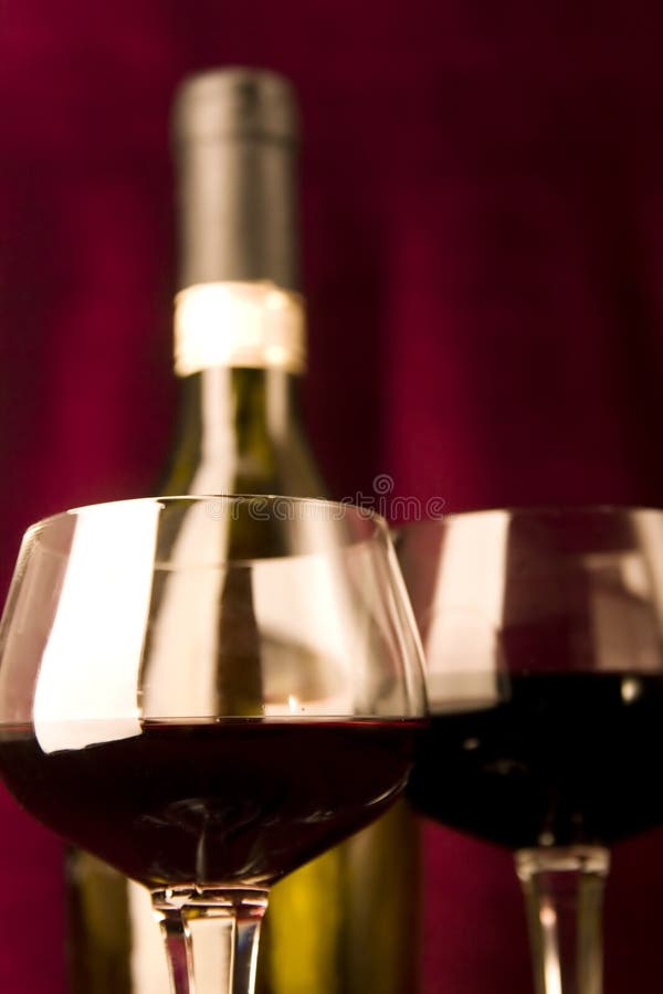 Enjoying Wine stock image. Image of professional 2723887