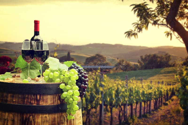 Red wine with barrel on vineyard in green Tuscany