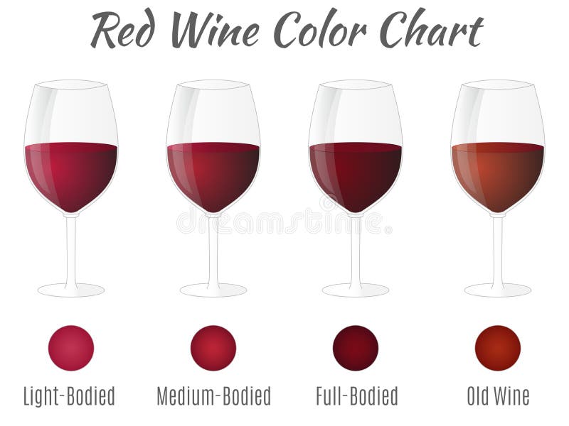 Red Wine Color Chart. Hand Drawn Wine Glasses Stock Vector