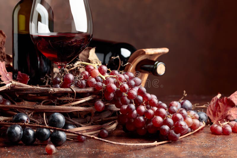 Red Wine and Fresh Grapes with Dried Up Vine Leaves. Stock Photo
