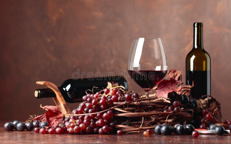 Red wine and fresh grapes with dried up vine leaves.
