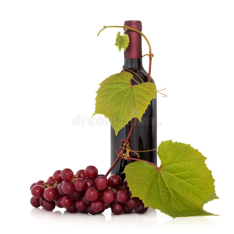 Bottiglia di vino rosso con uva frutto sulla pianta con foglie rametti isolato su sfondo bianco.