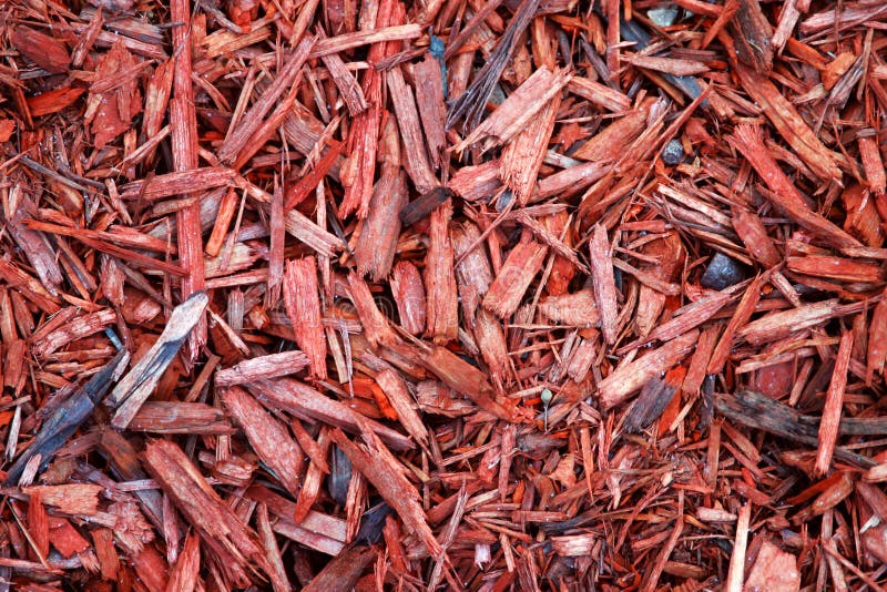 Red Wood Chips stock photo. Image of chips, chip, chipped 606704
