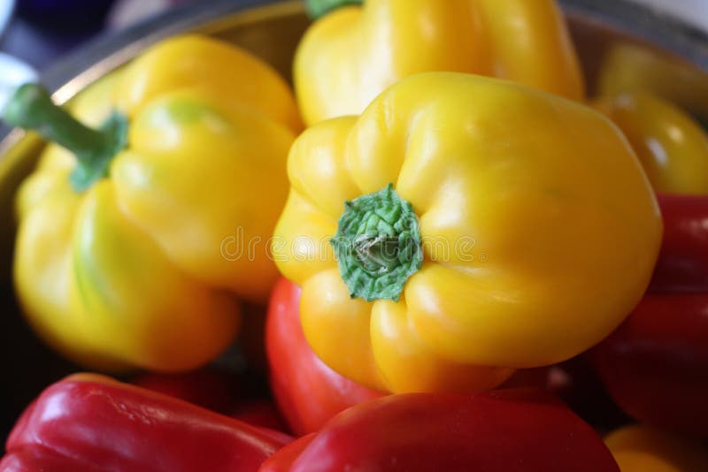 Red & Yellow Capsicum. royalty free stock image