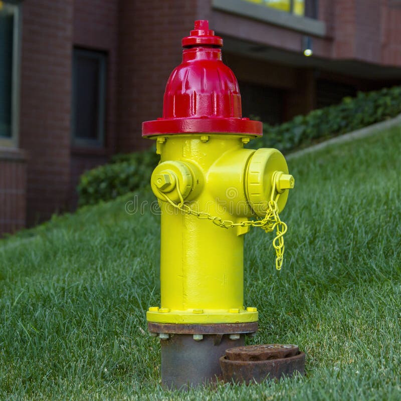 Red and Yellow Fire Hydrant on a Grassy Slope Stock Photo Image of
