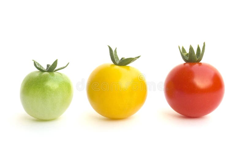 Kitchen garden vegetable stock photo. Image of veggie 4885922