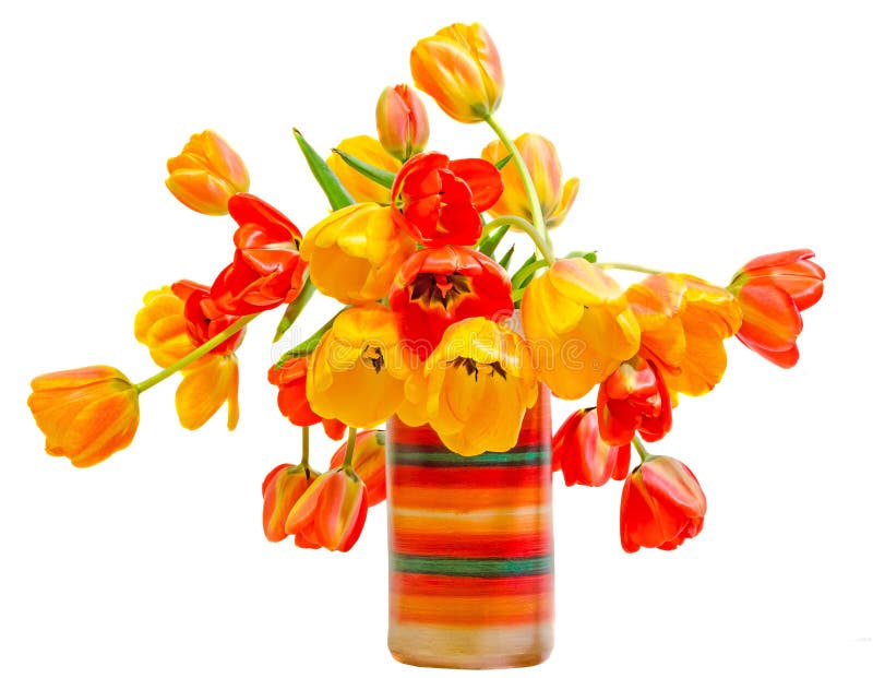 Red, yellow and orange tulips flowers in colored rustic vase, floral arrangement, close up, isolated, white background