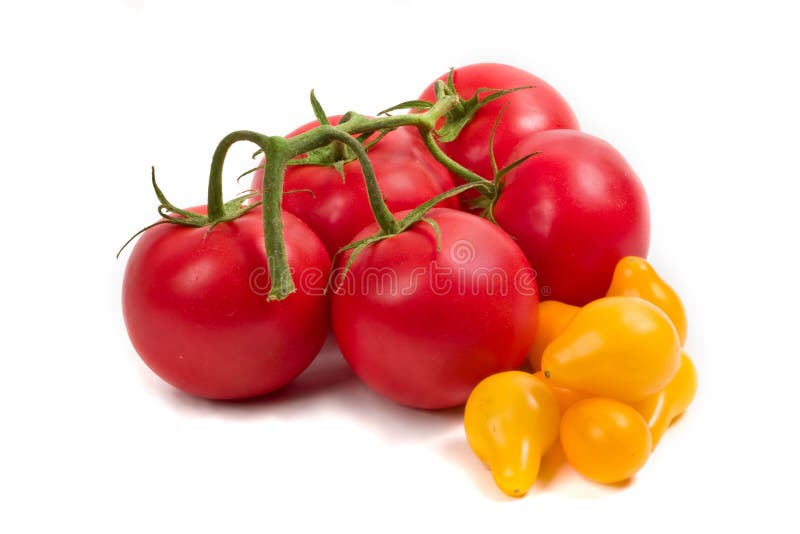 Yellow Red Tomatoes Free Stock Photos & Pictures, Yellow Red Tomatoes