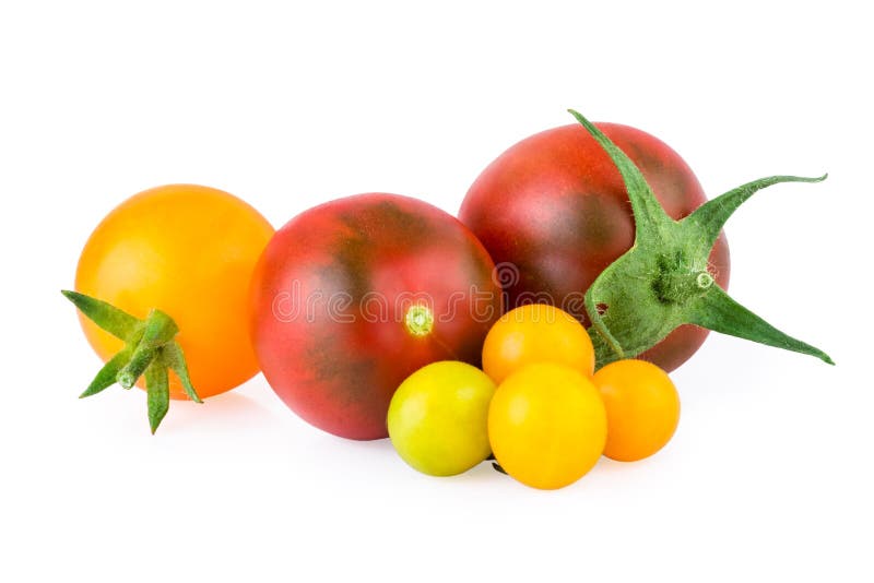 Red and Yellow Tomatoes with Basil Leaf Isolated on White Stock Photo