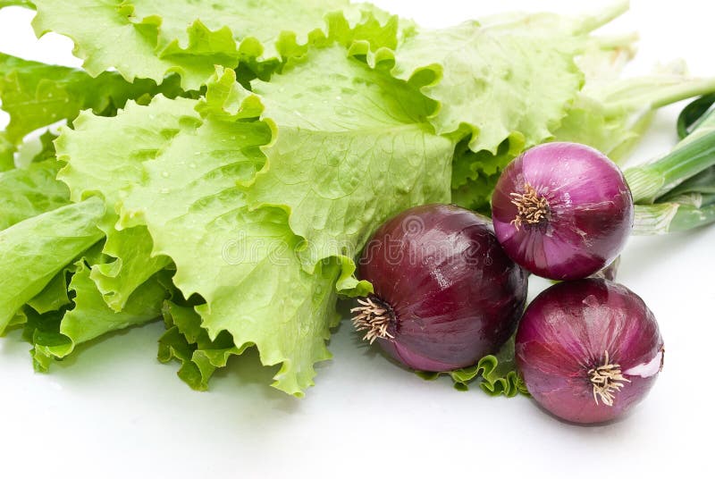Red young onions and lettuce salad