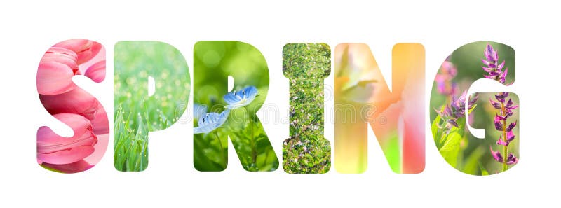 Redacte la primavera con las fotos coloridas de la naturaleza dentro de las letras stock de ilustración Redacte la primavera con las fotos coloridas de la naturaleza dentro de las letras stock de ilustración