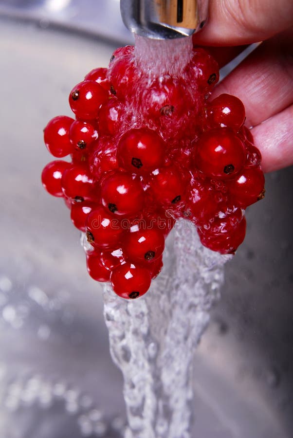 Redcurrant