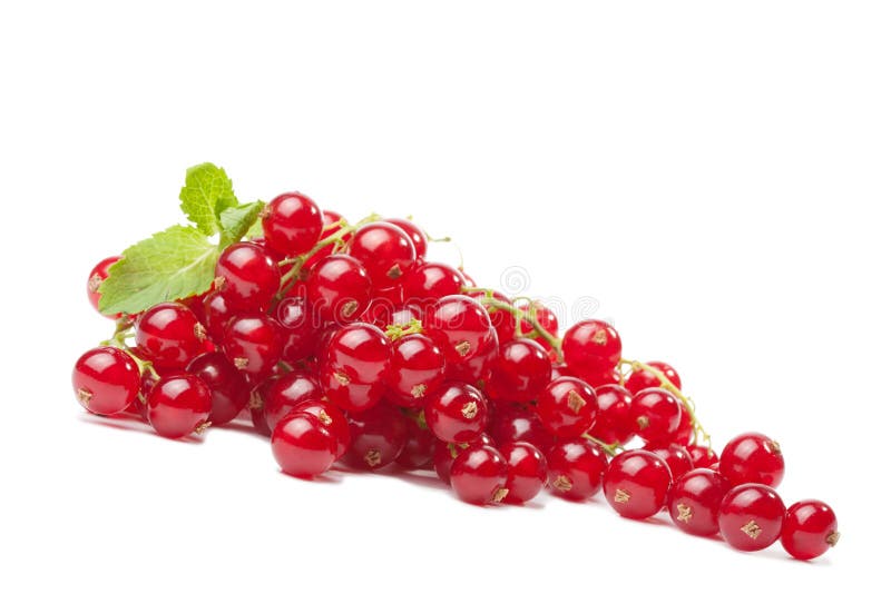 Redcurrant berries isolated