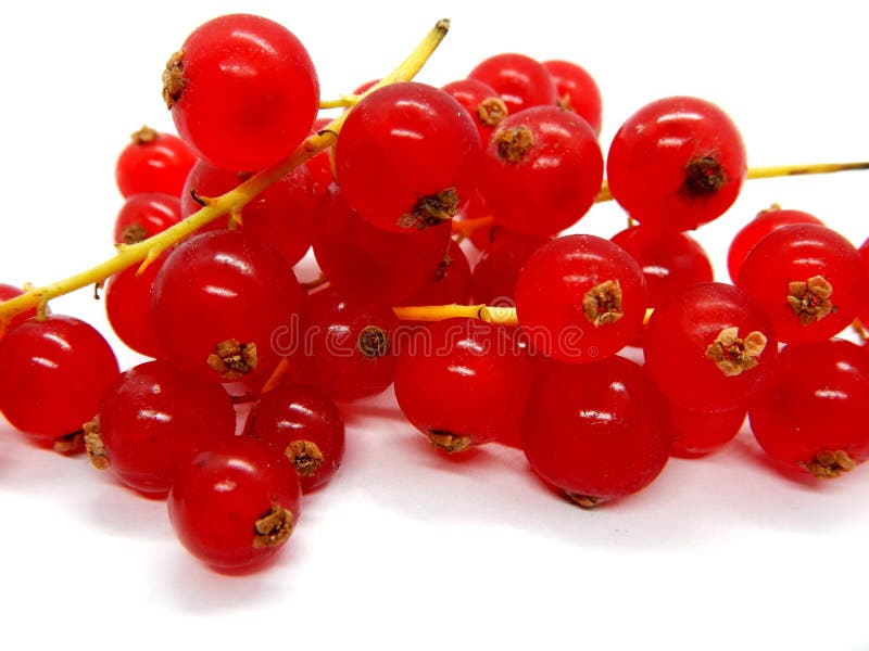 Redcurrant Odizolowywający na Białym tle obrazy royalty free Redcurrant Odizolowywający na Białym tle obrazy royalty free