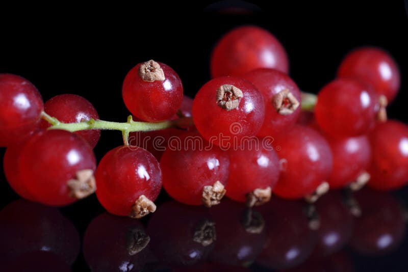 Redcurrants