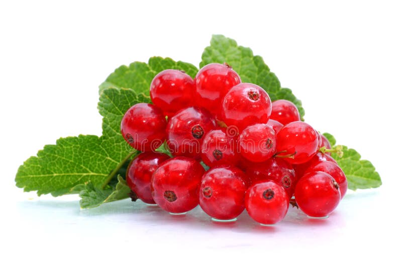 Redcurrants