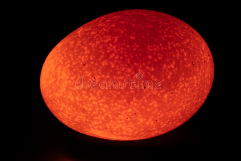 A Reddish Easter Egg Like Picture of a Raw Egg through Mobile Flash