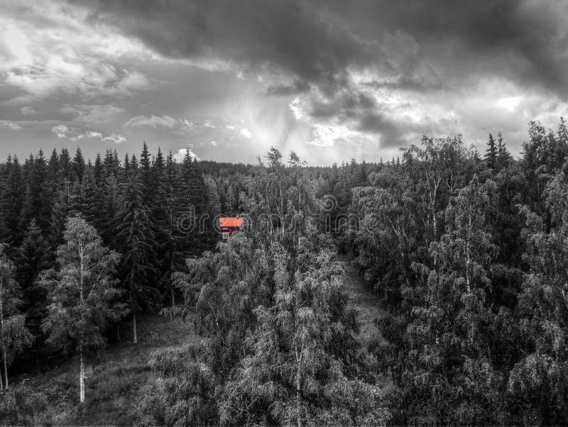 Redhouse na floresta foto de stock royalty free Redhouse na floresta foto de stock royalty free