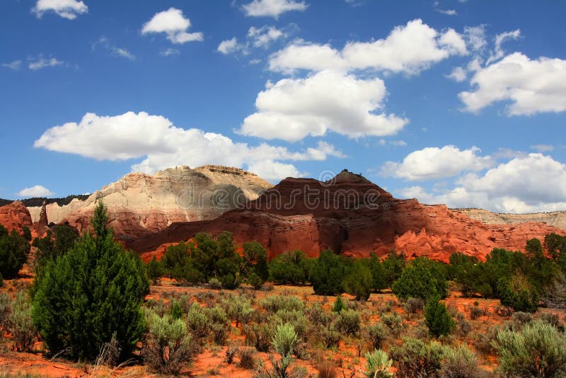 Redrock Shadows