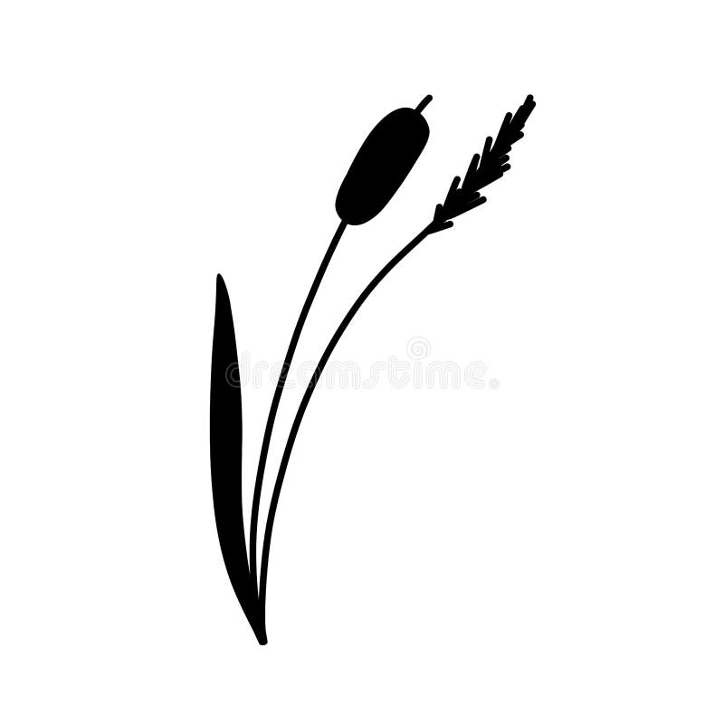 Reed Grass Silhouette. Black Hand Drawn Reeds Sketch Stock Vector ...
