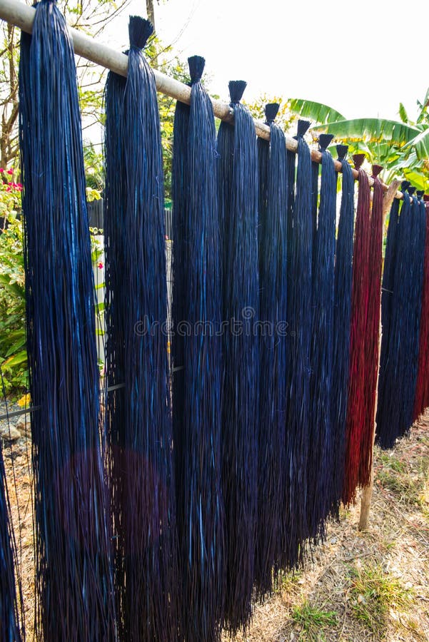 Reed stock image. Image of grey, asia, field, brown, closeup 74483353