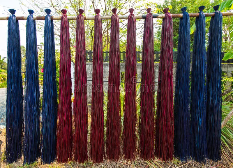 Reed stock image. Image of marsh, bulrush, pattern, botanical 74483761