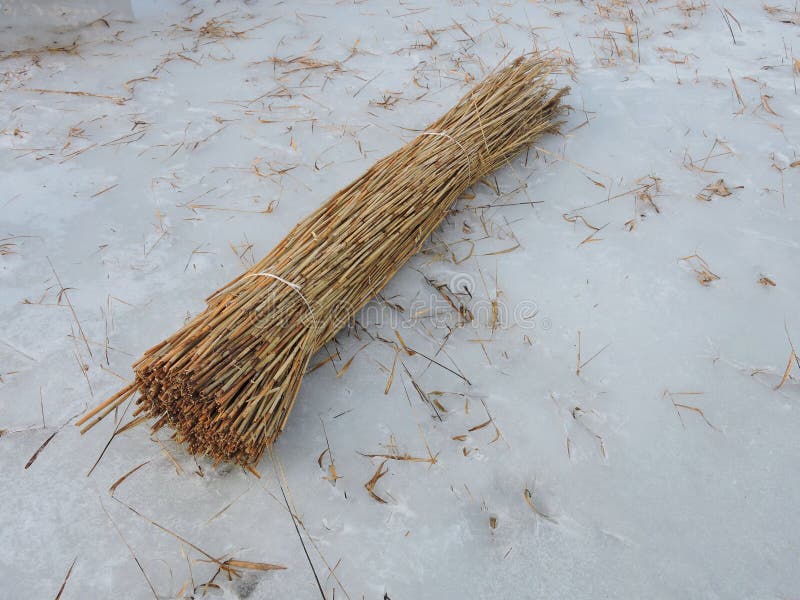 2,274 Reed Bunch Stock Photos Free & RoyaltyFree Stock Photos from